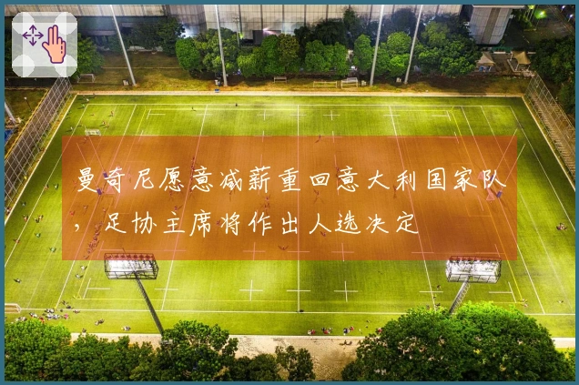 曼奇尼愿意减薪重回意大利国家队，足协主席将作出人选决定